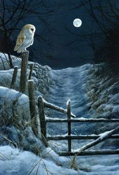 a painting of an owl sitting on a fence post in the snow with a full moon behind it