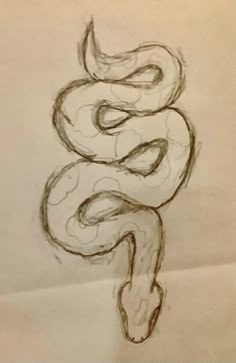 a drawing of a snake on top of a piece of paper with the tail curled up