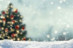 a christmas tree in the snow with red and white baubs on it's branches