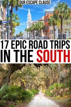 a road with palm trees and the words 17 epic road trips in the south on it