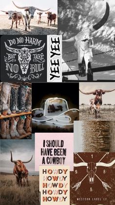 a collage of cowboy related images with the words i should have been a cowboy