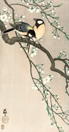 a bird sitting on top of a tree branch next to white and green flowers,