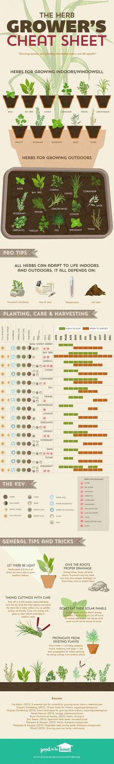 an info sheet showing the different types of plants and how they can be used to grow them