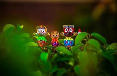 three little colorful owls sitting on top of a branch in the forest with green leaves