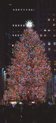 a large christmas tree in the middle of a city at night with lights on it