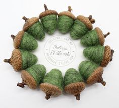 a group of pine cones and acorns arranged in a circle