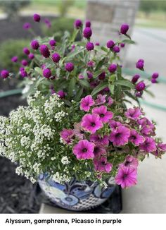 purple flowers in a blue and white vase sitting on the ground next to some plants