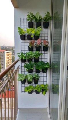 a vertical herb planter on the side of a balcony