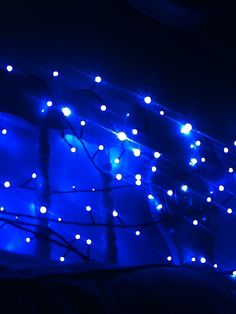 blue lights are hanging from the ceiling in front of a wall with trees and branches