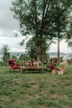 an outdoor seating area with chairs and tables in the grass next to a large tree