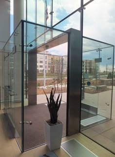 a plant in a white vase sitting inside of a glass walled area next to a building