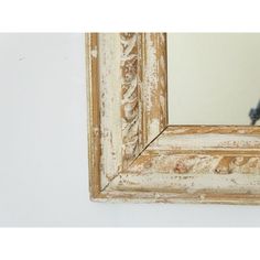 an old mirror is hanging on the wall with a blue bird in it's reflection