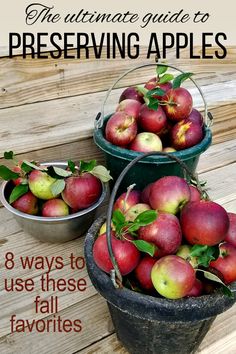 the ultimate guide to preserving apples 8 ways to use these fall favorites