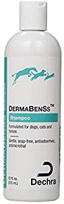 a bottle of dermabenss shampoo on a white background with the label below it