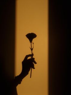 a person is holding a flower in their hand while the sun goes down on them