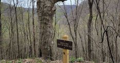 a sign is posted in the middle of a wooded area with mountains in the background