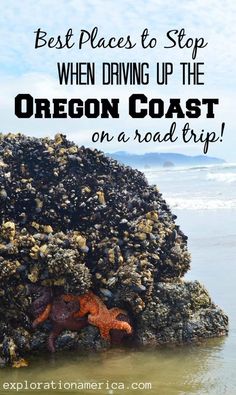 an orange starfish sitting on top of a rock next to the ocean with text overlay that reads best places to stop when driving up the oregon coast on a road trip