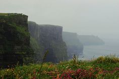 the cliffs are covered in green grass and wildflowers