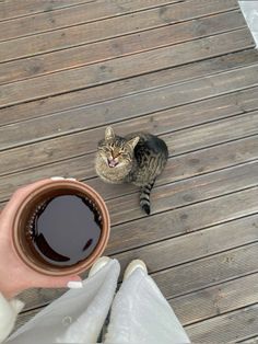 a cat sitting on top of a wooden deck next to a cup of coffee