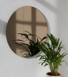 a potted plant sitting in front of a round mirror on the side of a wall