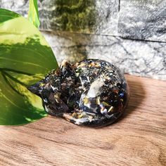 a rock sitting on top of a wooden table next to a leafy green plant