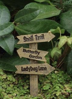 a wooden sign sitting in the middle of a lush green forest filled with leaves and plants