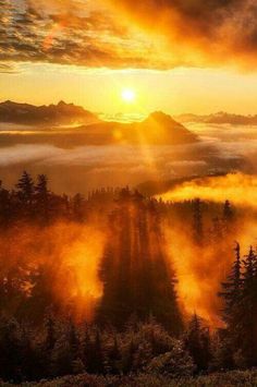 the sun is setting over some trees in the foggy mountain range, with low lying clouds