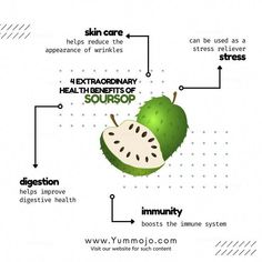 Health Benefits Of Soursop, Irish Moss Recipes, Soursop Benefits, Benefits Of Soursop, Soursop Fruit, Fruit Health Benefits, Fruit Benefits, Help Digestion, Healthy Advice