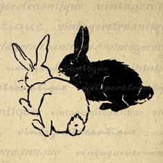 two rabbits are sitting next to each other on a piece of paper with black ink