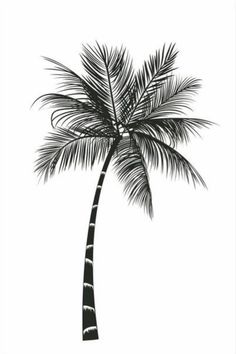 a black and white drawing of a palm tree