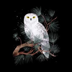 an owl perched on top of a pine tree branch in the night sky with snow flakes