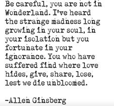 an old quote with the words, be careful you are not in wonderland i've heard