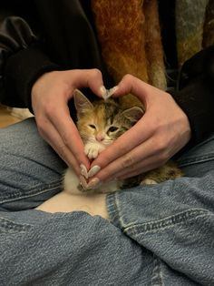 a person holding a cat in their hands with the other hand over it's heart