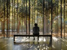 a man sitting on top of a bench in front of tall glass walls and trees