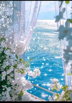 an open window overlooking the ocean with white flowers on it and water in the background