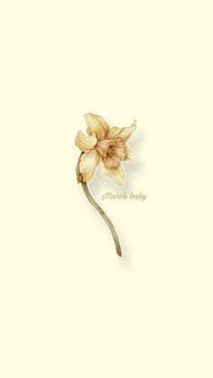 a drawing of a flower on a white background with the words, flowers may be daffodils