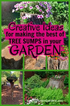 the words creative ideas for making the best of tree stumps in your garden are shown