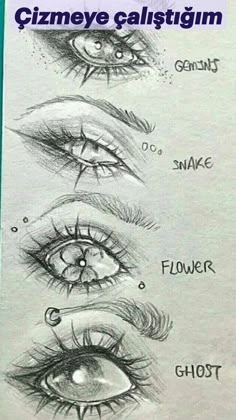 the different types of eyes and how they are used to make them look like they're