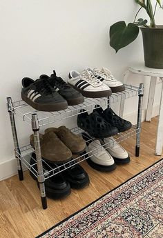 four pairs of shoes are sitting on a rack next to a rug and potted plant