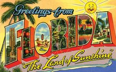 greetings from florida, the land of sunshine with images of palm trees and buildings