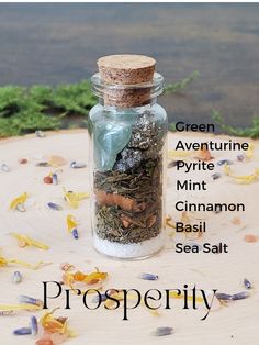 Prosperity spell jar photo with labels of what is inside- green aventurine, pyrite, mint, Cinnamon, Basil, sea salt Spell Jar Ideas, Prosperity Spell Jar, Bottle Spells, Intention Jars, Magic Jar, Sage Crystals, Witch Bottle, Wicca Recipes, Spell Bottles