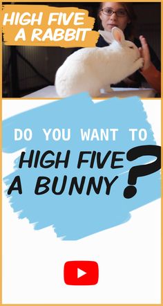 a woman holding a white rabbit in her hand and the words do you want to high five a bunny?