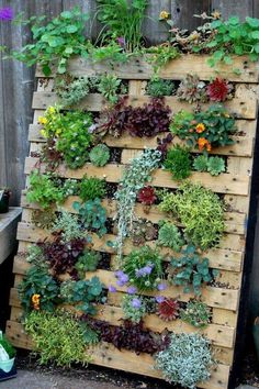 a wooden pallet filled with lots of different types of plants and flowers on top of it