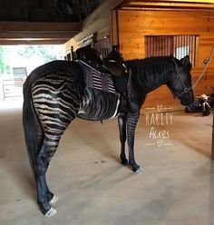 a horse that has been painted black and white with zebra stripes on it's body