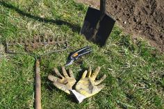 a pair of gloves and gardening tools laying on the ground