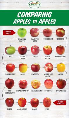 an apple chart showing the different types of apples