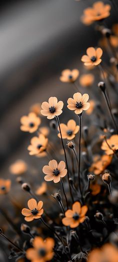 some yellow and black flowers in the middle of a plant with orange petals on it