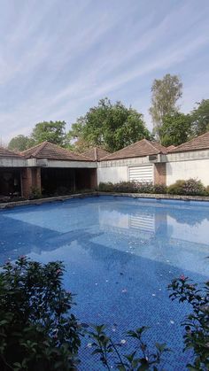 an empty swimming pool surrounded by trees and bushes