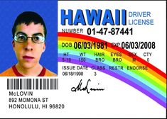 "McLovin ID on a 3.5\" x 2.5\" Metal Magnet With Glossy Finish.A Funny Magnet For Him or Her. A Great Decorating Addition For Your Fridge or Any Metal Surface." Mclovin Id, Funny Flags, Funny Magnets, Id Card Template, Truck Stickers, 카드 디자인, Driving License, Gag Gifts, How To Get Money