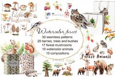 the watercolor pack includes 20 seamless patterns, 20 trees and bushes, 17 forest mushrooms, 10 watercolor animals